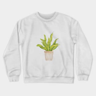 green indoor plant in brown pot watercolor 2 Crewneck Sweatshirt